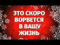 ЧТО СКОРО ВОРВЁТСЯ ВАШУ ЖИЗНЬ? ЛИЧНАЯ ЖИЗНЬ! КАКИЕ ПЕРЕМЕНЫ НА ПОРОГЕ? Гадание таро