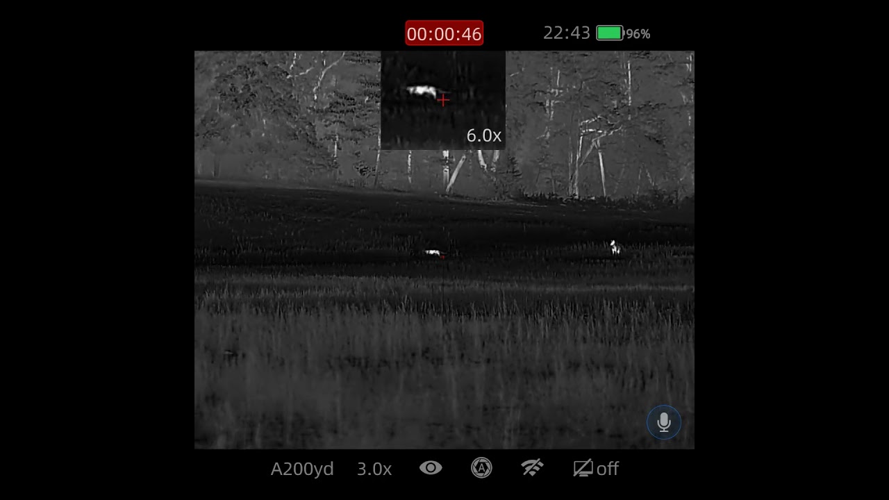 Iray rico rh50r coyote hunt 