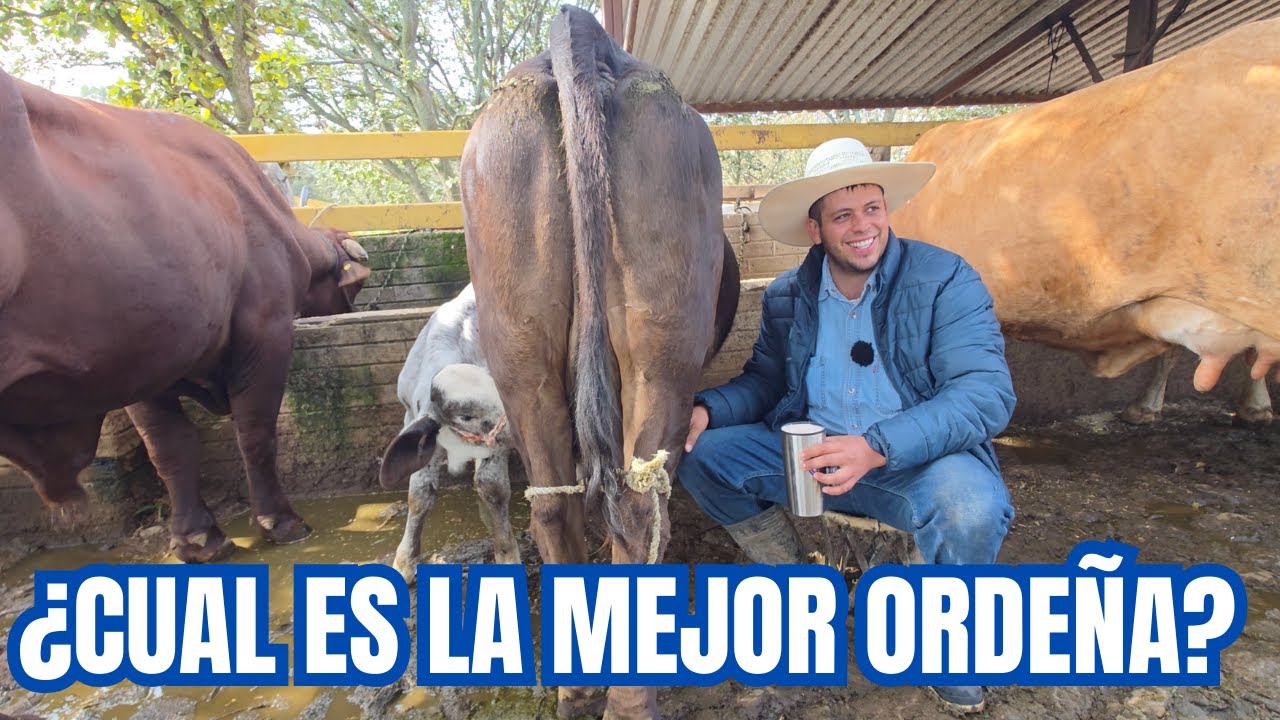 ¿Cual es la MEJOR ORDEÑA? | Los MEJORES CONSEJOS para la ORDEÑA | PARTE 3 | RancheandoAndo