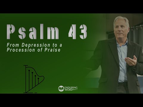  43       