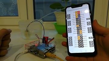Автополив растений с применением Raspberry Pi (анонс)