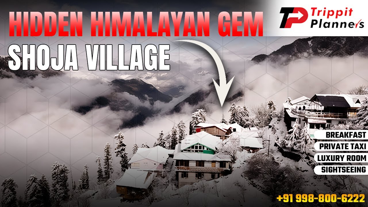 Shoja Village Himachal Pradesh | A Hidden Himalayan Paradise in the Clouds