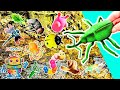 Bug Insect Names | Kids Learn at the Brook: Butterfly Cricket Weevil Fly Ladybug Dragonfly