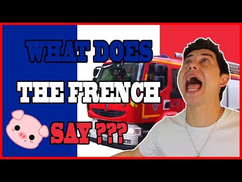 FRENCH VERSUS ENGLISH ONOMATOPOEIA