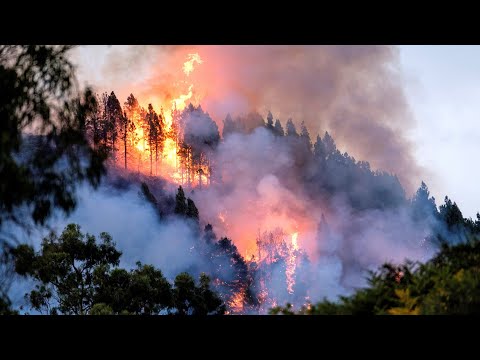 Protección Integral frente a Incendios Forestales