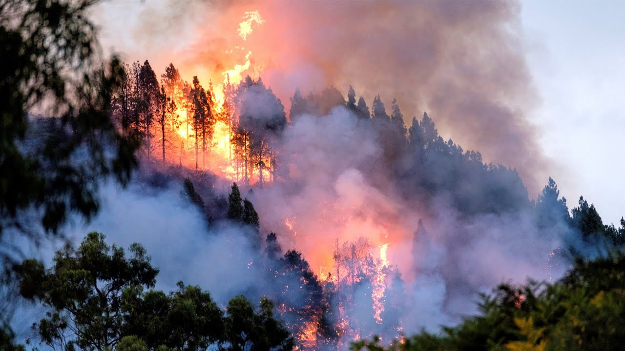 Protección Integral frente a Incendios Forestales