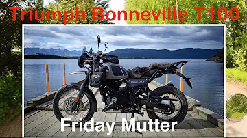 Triumph Bonneville Friday Mutter - Himalayan 450 servicing, giraffe takeover, an unusual motorcycle