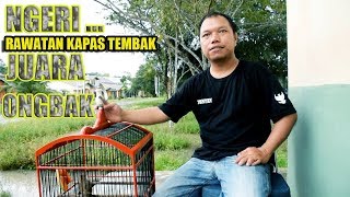 Download Lagu NGERI + Simple Cara Merawat Kapas Tembak ONGBAK Milik Thesyen MP3