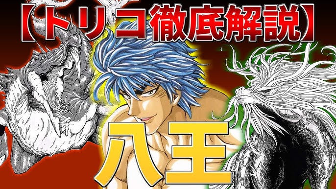 徹底解説 最強キャラランキングtop10 トリコ Youtube