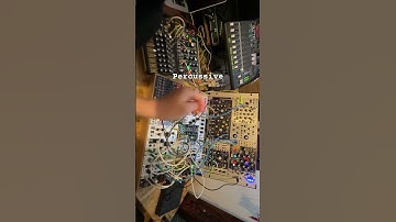 Percussive #modularsynth #eurorack #makenoisemusic #0coast #0ctrl #jazz #beats