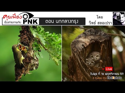 (Live) ถ่ายนกกลางกรุงฯ รายการ คุยเฟืองเรื่องถ่ายภาพกับ PNK #3