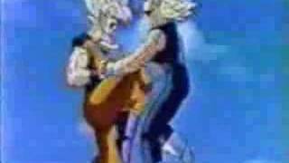 Vegeta Tribute