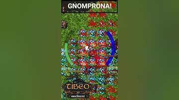 GNOMPRONA! #2dgames #pvp #tibia #shorts #tibiapvp #cipsoft #gameplay #retro