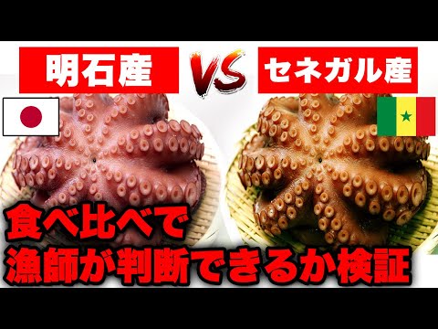 山魚子 在名 ぐい呑み　盃 芯漆ぐい呑 スサノオ（山崖松堂）Shinshitsu Sake Cup（Shodo