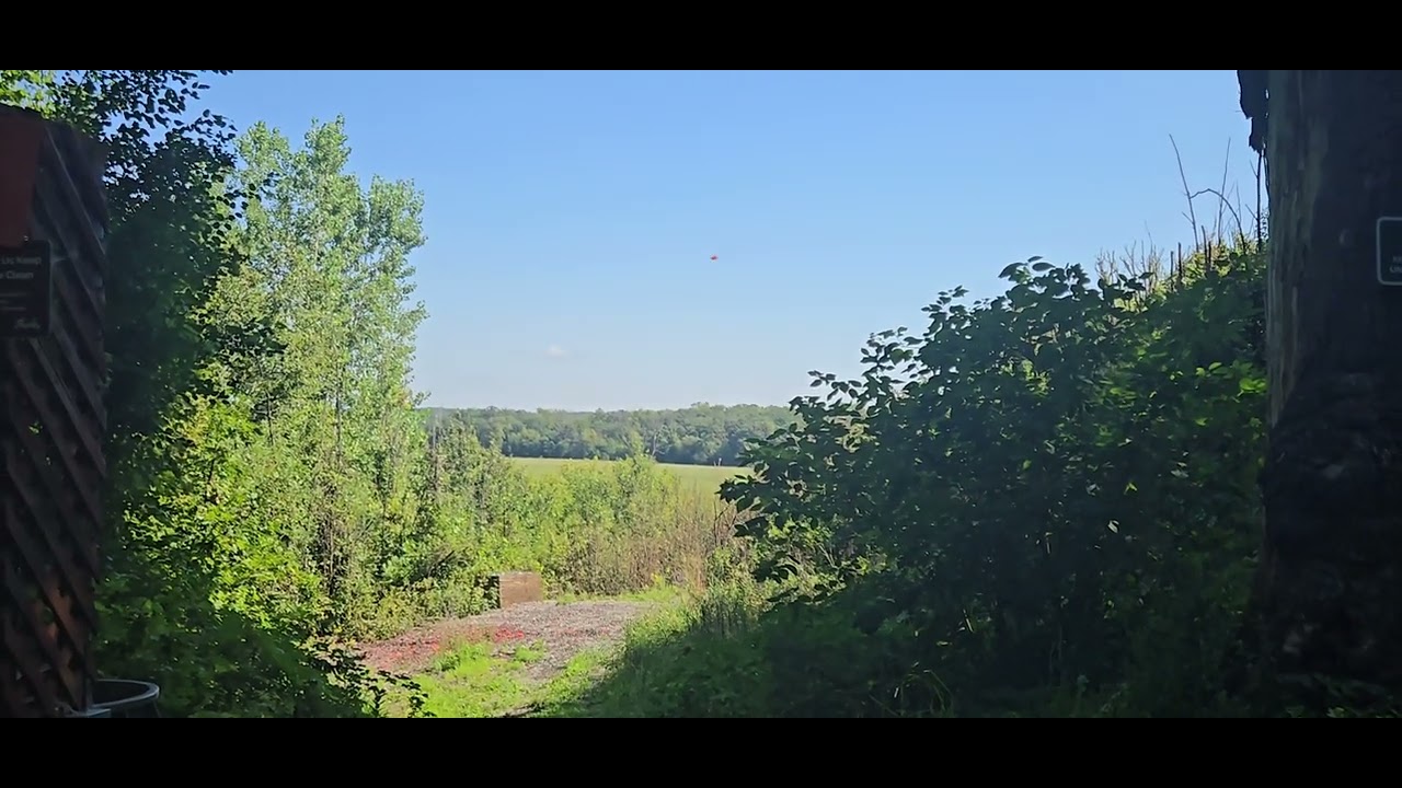 Joey @ MN Horse & Hunt Club