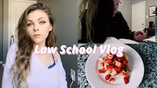 LAW SCHOOL VLOG: Job Hunt UPDATE + Legal Writing Assignments