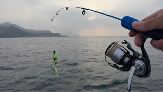 【タイラバ】今日はダイソー穴釣りロッドで鯛釣り