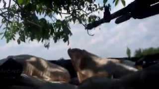 Ополченцы ведут бой. Марьинка. 20.07.2015 Ополченцы ведут бой. Марьинка. 20.07.2015