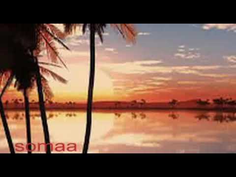 طارق عبد القيوم بعد شيعت المعاني