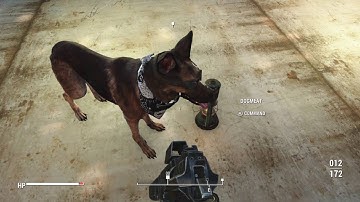 Fallout  4: When synths attack