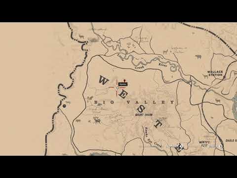 Special Miracle Tonic Pamphlet | Broschüre für Spezial-Wundertonikum