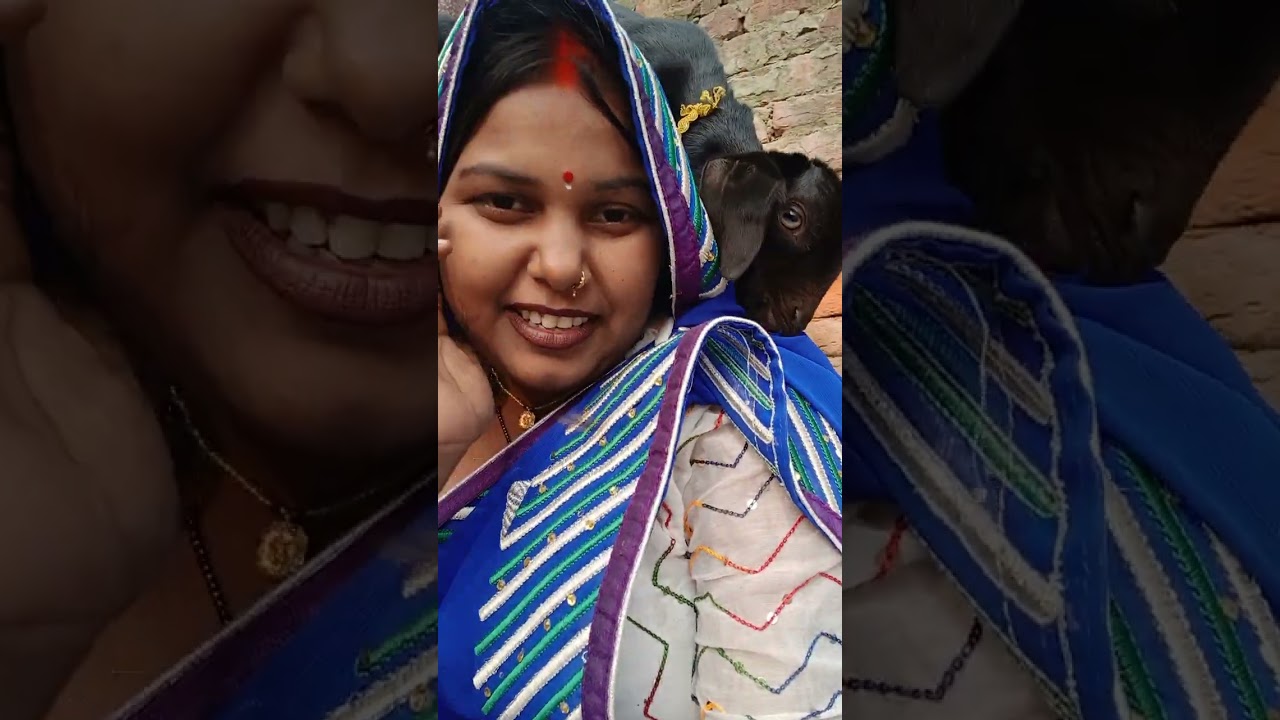 दोस्तों यह सब हमको बहुत परेशान करते हैं 