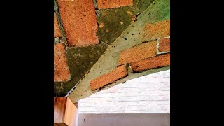 Computational Design Strategies for Thin-tile Shells Manufacturing Wealth