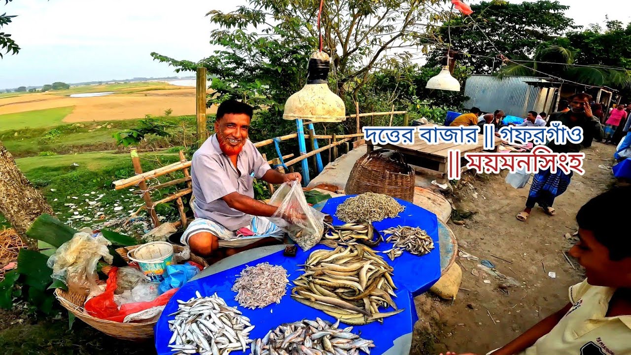 দত্তের বাজার গ্রামীণ হাট || গফরগাঁও ময়মনসিংহ || Dutter Bazar Grameen hat || gaffargaon mymensingh