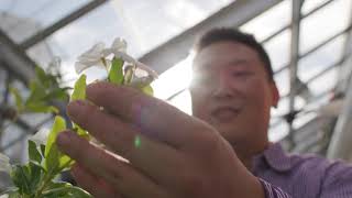 Research Powerhouse | ‘UNB is here’