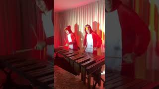 Angry Birds  Marimba