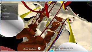 3Dnasalvista 2.0 Demo 3