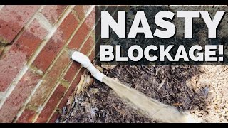 I wasn't going to let this nasty drain beat me!!  How to backwash a clogged AC condensate drain line