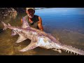 How One Native's "Secret" Net Caught 20-Foot PREHISTORIC Sawfish