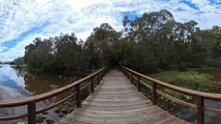 The Bridge in 360 shot on the new Insta360 X4 100FPS Slowmotion
