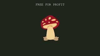 *FREE FOR PROFIT* SMOOTH LO FI TYPE BEAT mushroom