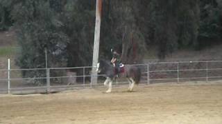 Anna Cantering Slate 3.avi