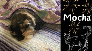 Mocha | 30 Mythical Beasts | Original Piano Composition