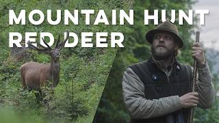 Summer Red Deer Hunting in the Austrian Alps
