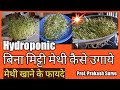 How to grow Fenugreek at home (Hydroponic method बिना मिट्टी मेथी कैसे उगाये) By Prof. Prakash Surve
