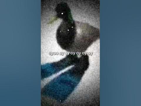 грустная утка в ластах #утка #ласты #битбокс #крутится #имба #hype # ...