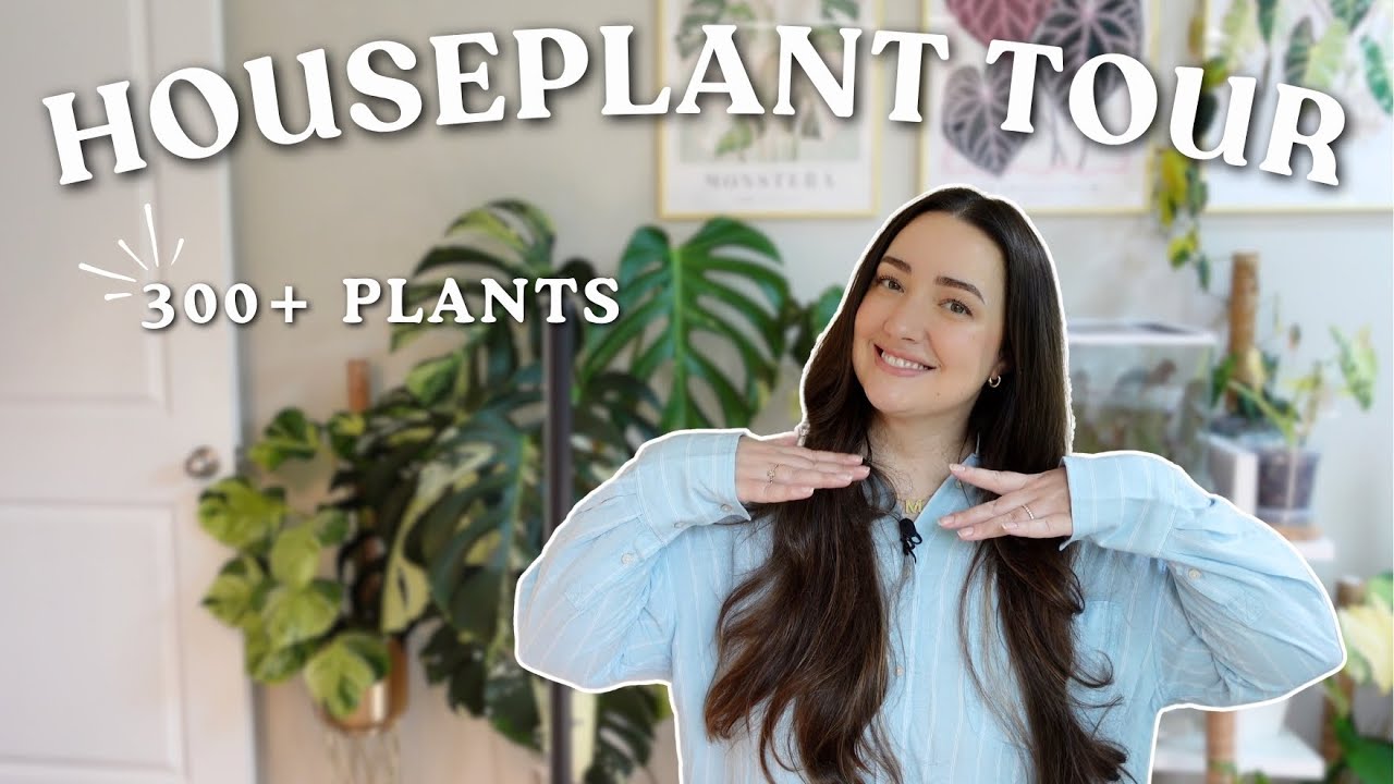 2025 Full Houseplant Collection Tour 🌿