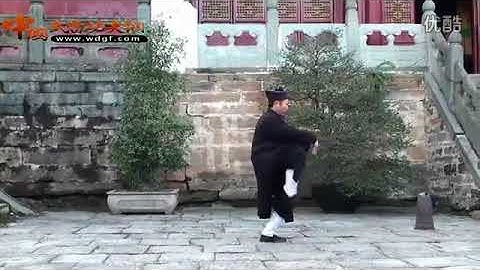 武當太乙五行拳鐘雲龍道長 tai yi wu xing quan