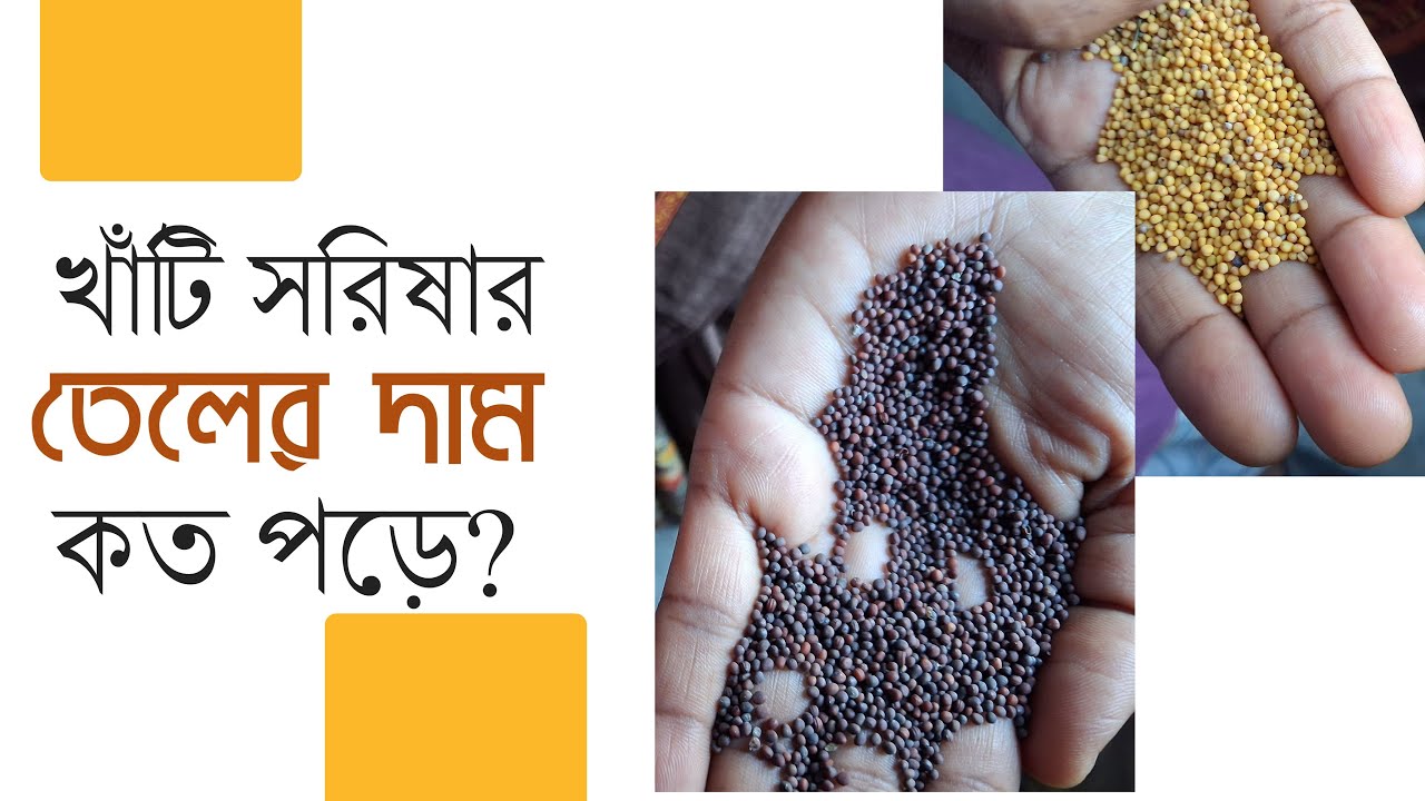 খাঁটি সরিষার তেলের দাম কত পড়ে?