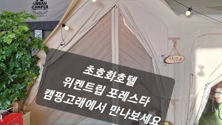 아름다운 #에어텐트 #위켄트립 #포레스타 에어텐트 #쿠디 #네이처하이크 비교 캠핑고래