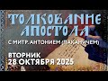 Вторник, 28 октября 2025 года. Толкование Апостола с митр. Антонием (Паканичем).
