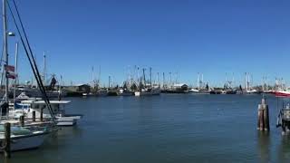 Celebrity Making Cast nets | Introduction Profile