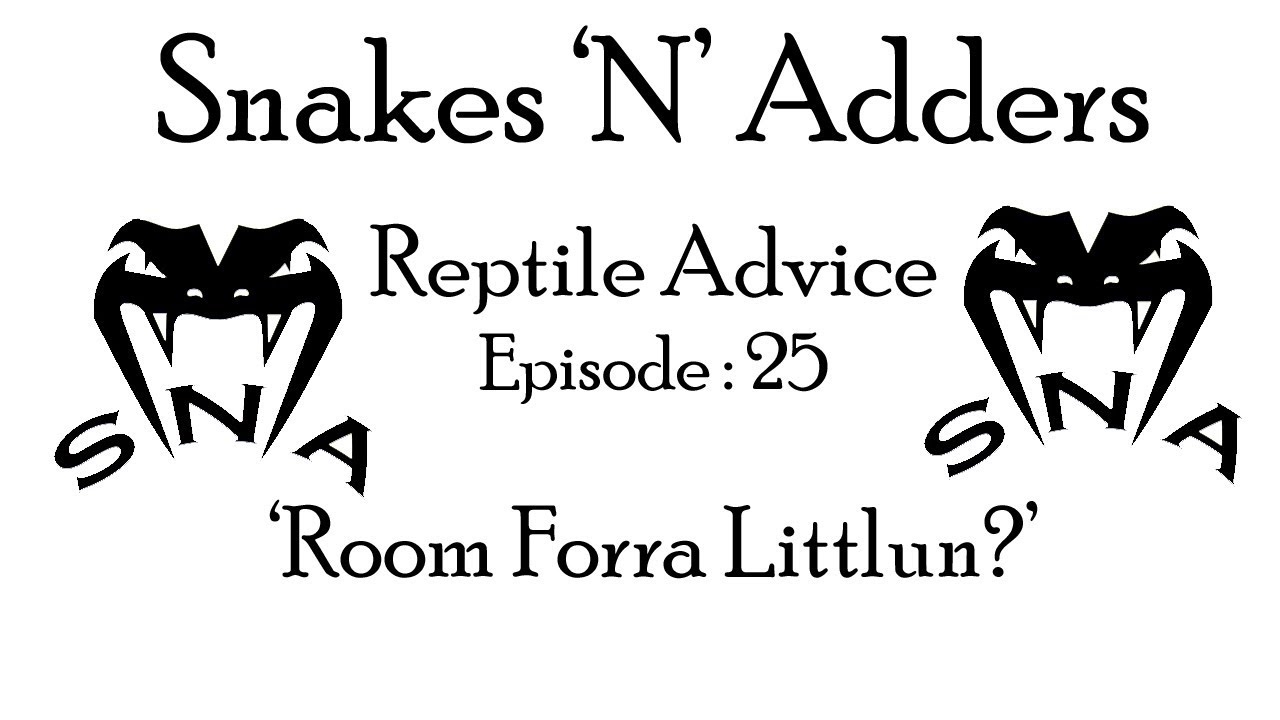 camera iphone 8 plus apk Snakes 'N' Adders Reptile Advice : Episode - 25 (Room for a littlun?)