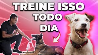 5 EXERCÍCIOS DO ADESTRAMENTO CANINO QUE VOCÊ DEVE FAZER TODOS OS DIAS EM CASA