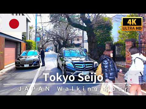 4K Japan Walk 🇯🇵 Exploring Seijo: Tokyo’s Luxury Neighborhood | February 2026
