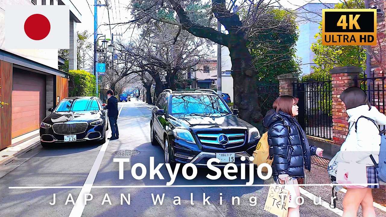 Прогулка по Японии в 4K 🇯🇵 Сэйдзё — элитный район Токио | Февраль 2026